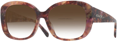 Butterfly Coach 8363U w/ Gradient Bifocal Reading Sunglasses