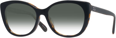 Cat Eye Coach 8365U Sunglasses