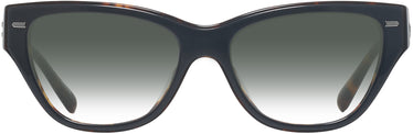 Cat Eye Coach 8370U Sunglasses