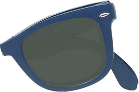 Wayfarer Ray-Ban 4105 Sunglasses